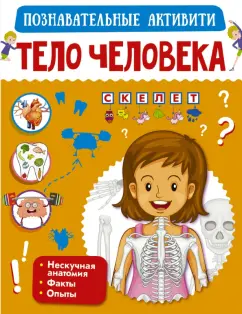 Попова, Пирожник: Тело человека