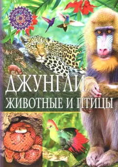 Джунгли. Животные и птицы