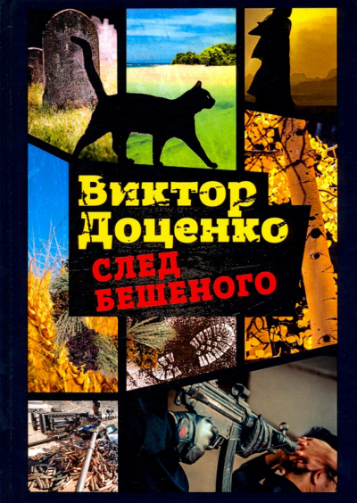 Виктор Доценко: След Бешеного