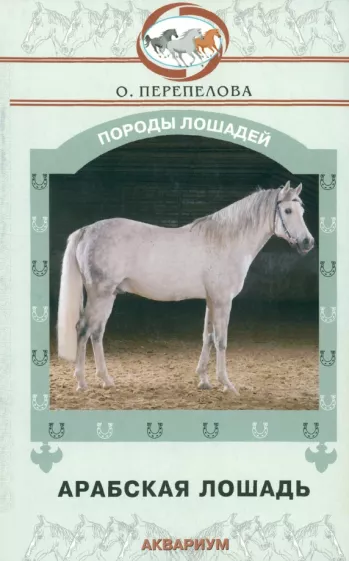 Ольга Перепелова: Арабская лошадь