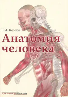 Валентин Козлов: Анатомия человека. Учебник