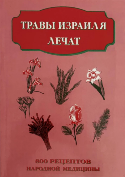 Косоновская Елена: Травы Израиля лечат