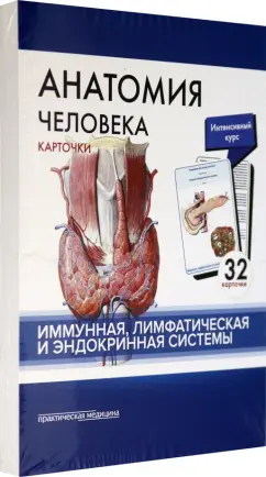 Сапин, Николенко, Тимофеева: Анатомия человека. Иммунная, лимфатическая и эндокринная системы. 32 карточки