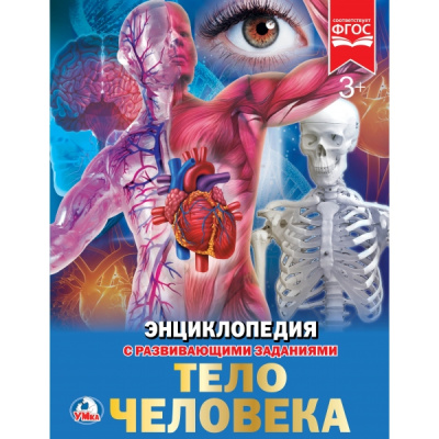 : Тело человека. (Энциклопедия А4 с развивающими заданиями). Тв. переплет. 48стр. Умка в кор.15шт