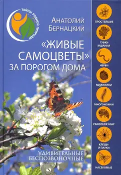 Анатолий Бернацкий: "Живые самоцветы" за порогом дома. Удивительные беспозвоночные