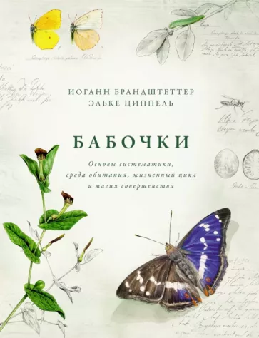 Брандштеттер, Циппель: Бабочки. Основы систематики, среда обитания, жизненный цикл и магия совершенства