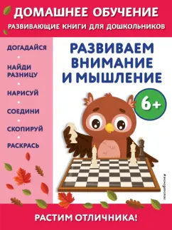 Беркай Динч: Развиваем внимание и мышление. Для детей от 6 лет