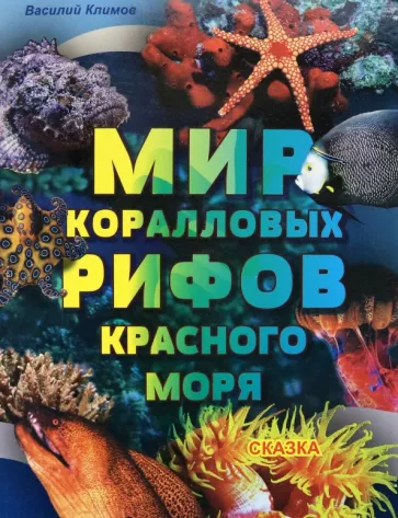 Василий Климов: Мир коралловых рифов Красного моря