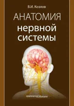 Валентин Козлов: Анатомия нервной системы. Учебное пособие