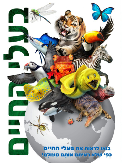Животные | בעלי החיים