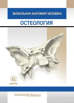 Варенцов, Тимофеева: Визуальная анатомия человека. Остеология. Карточки, 51 штука