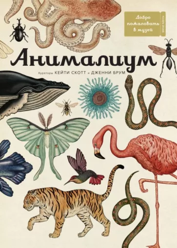 Дженни Брум: Анималиум