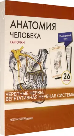 Сапин, Николенко, Тимофеева: Анатомия человека.Черепные нервы. Карточки (26 шт)