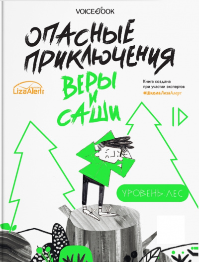 Юлия Иванова: Опасные приключения Веры и Саши. Уровень:  Лес. Город