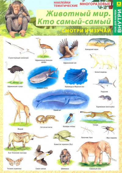 Животный мир. Кто самый-самый. Наклейки тематические