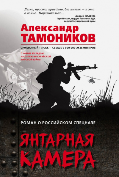 Александр Тамоников: Янтарная камера