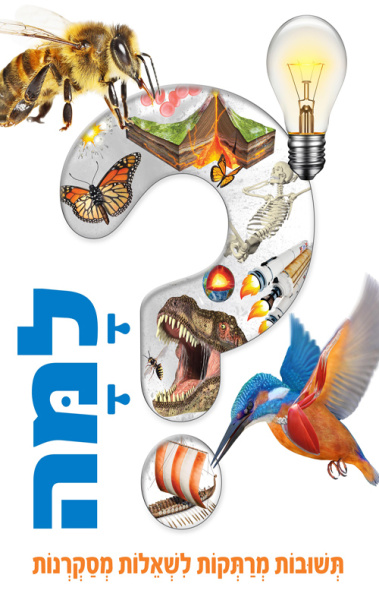 Почему | לֹמה