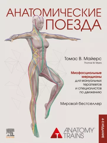 Томас Майерс: Анатомические поезда