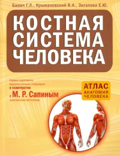 Билич, Крыжановский, Зигалова: Костная система человека