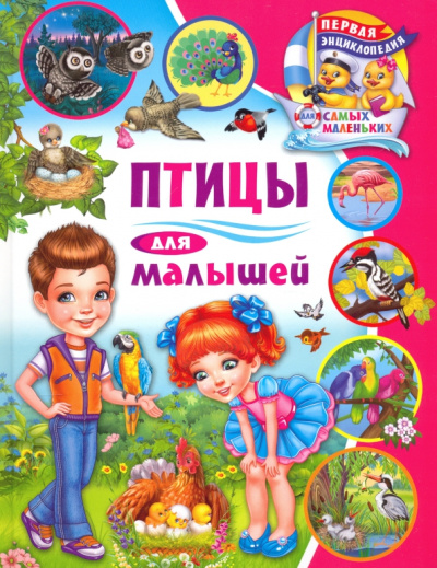 Анна Забирова: Птицы для малышей