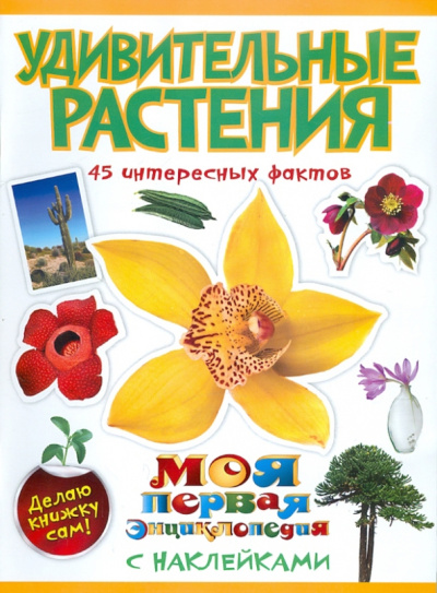 Наталья Костина: Удивительные растения
