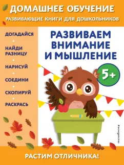 Беркай Динч: Развиваем внимание и мышление. Для детей от 5 лет