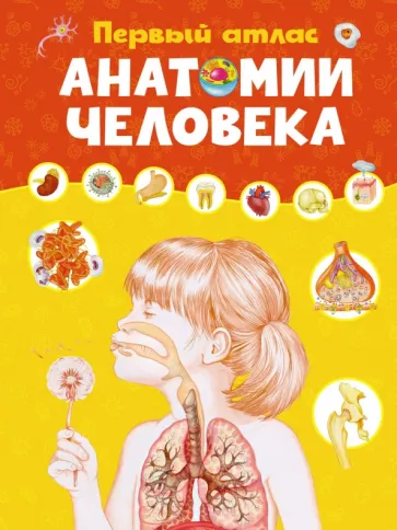 Элеонора Барсотти: Первый атлас анатомии человека