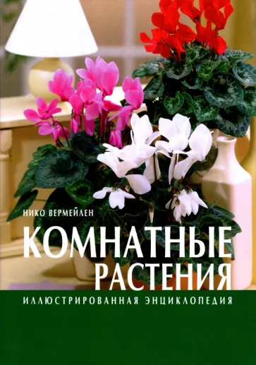Нико Вермейлен: Комнатные растения
