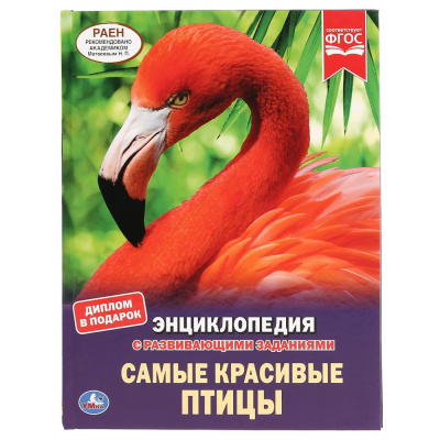 : "УМКА". САМЫЕ КРАСИВЫЕ ПТИЦЫ (ЭНЦИКЛОПЕДИЯ А4 С РАЗВИВАЮЩИМИ ЗАДАНИЯМИ). ТВЕРДЫЙ ПЕРЕПЛЕТ в кор.15шт
