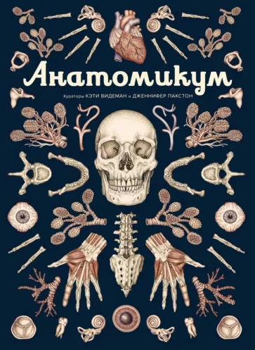 Дженнифер Пакстон: Анатомикум