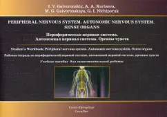 Гайворонский, Курцева, Гайворонская: Периферическая нервная система. Автономная нервная система. Органы чувств. Рабочая тетрадь