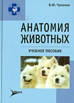 В. Чумаков: Анатомия животных:  учебное пособие