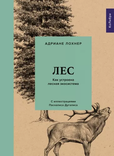 Адриане Лохнер: Лес. Как устроена лесная экосистема