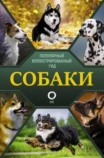 Хомич, Вайткене, Барановская: Собаки. Популярный иллюстрированный гид