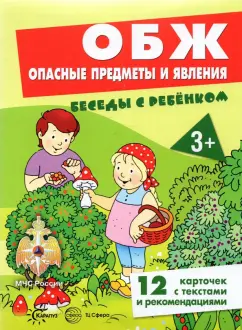 Вера Шипунова: ОБЖ. Опасные предметы и явления, 12 картинок с текстом на обороте, А5