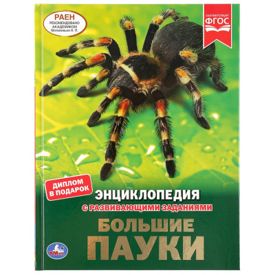 : "УМКА". БОЛЬШИЕ ПАУКИ (ЭНЦИКЛОПЕДИЯ А4 С РАЗВИВАЮЩИМИ ЗАДАНИЯМИ). ТВЕРДЫЙ ПЕРЕПЛЕТ в кор.15шт