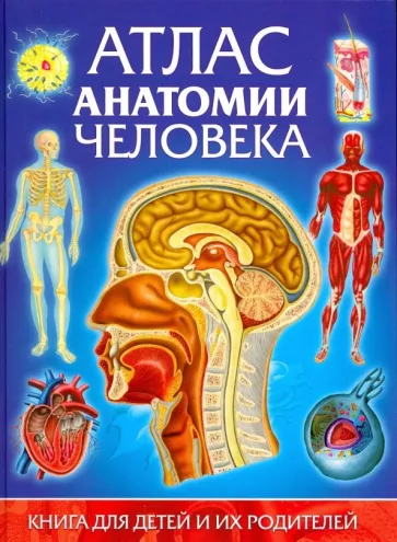 Винченцо Гуиди: Атлас анатомии человека. Книга для детей и их родителей