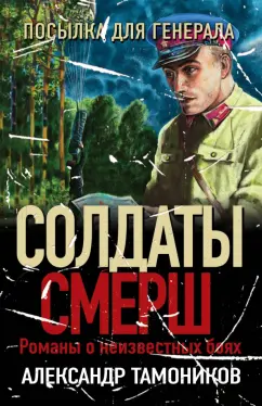 Александр Тамоников: Посылка для генерала