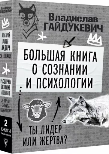 Владислав Гайдукевич: Большая книга о сознании и психологии. Ты лидер или жертва?