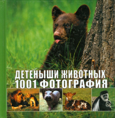 Детеныши животных. 1001 фотография