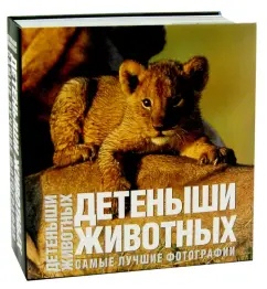 Анджела Ильдос: Детеныши животных. Самые лучшие фотографии