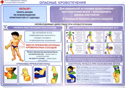 Бубнов, Бубнова: Первая медицинская помощь в чрезвычайных ситуациях (12 плакатов)