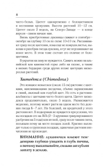 Галина Кизима: Цветник для тех, кому за... без лишних усилий