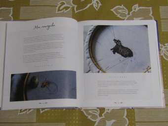 Хлоя Джордано: Лесное волшебство. Живопись нитями