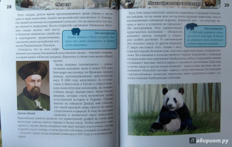 Ярослава Соколова: Хочу знать. Медведи