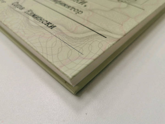 Сара Камински: Адольфо Камински, фальсификатор