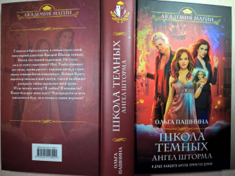 Ольга Пашнина: Школа темных. Ангел шторма