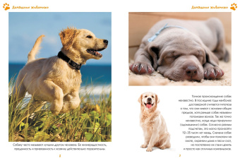 Наталья Куйе: Моя любимая книга о животных