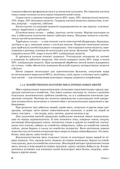 Закария Давлетов: Товароведение и технология обработки мясо-дичной, дикорастущей пищевой продукции. Уч.пособие для СПО
