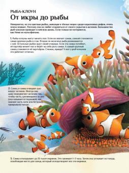 Лилиана Фабисинская: Что и как растёт